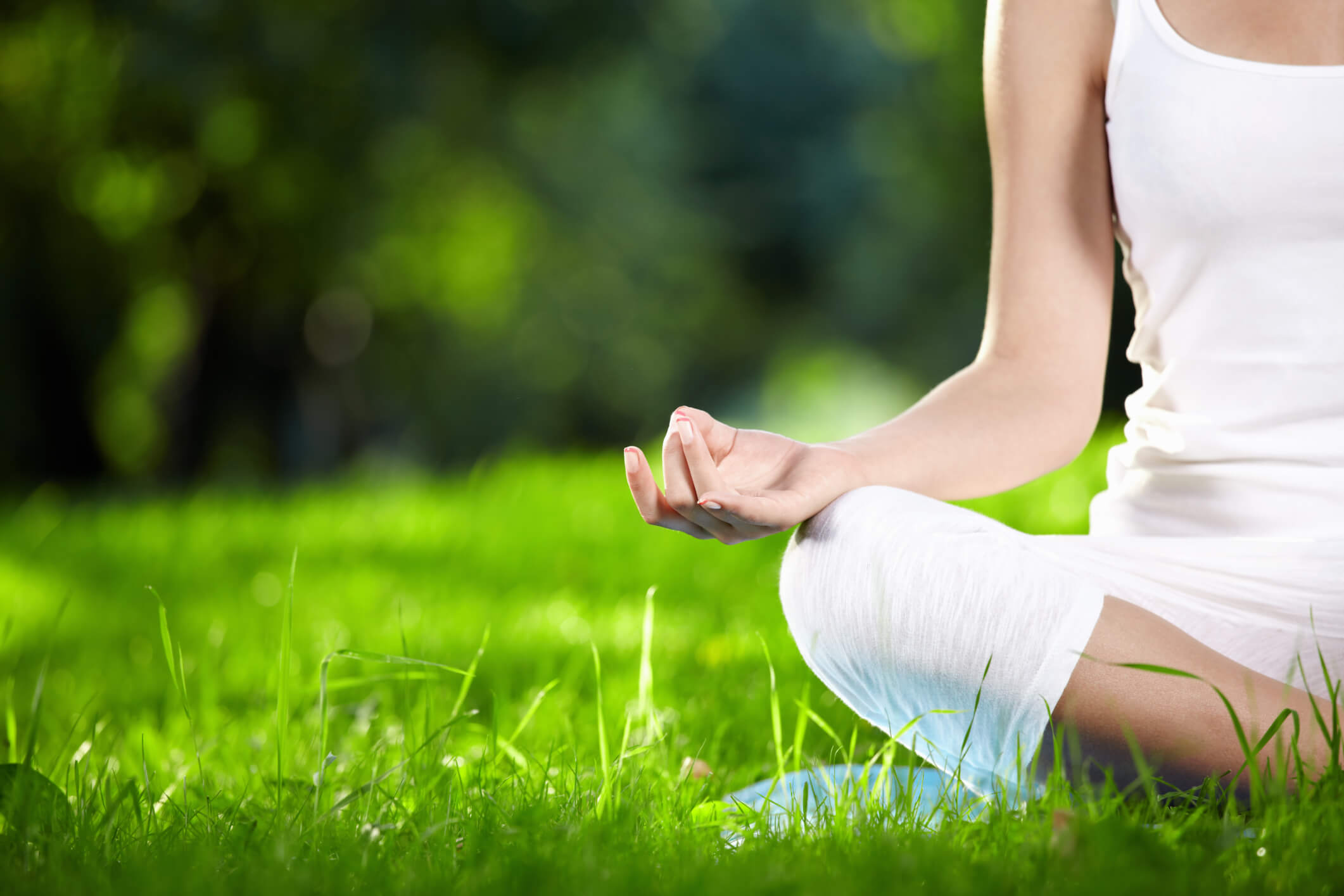 holistic